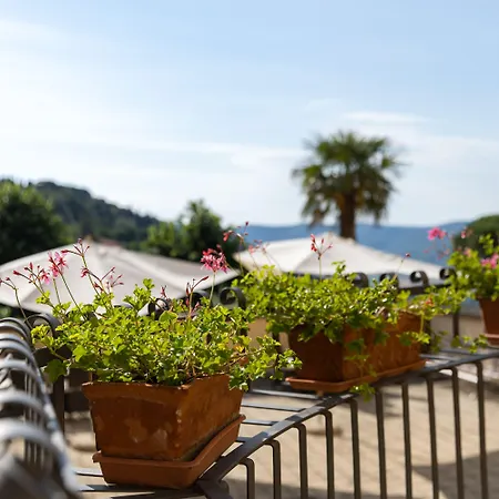 Villa Santa Margherita - Albergo 3* Cortona
