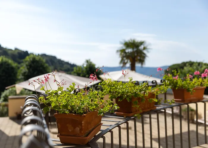 Santa Margherita - 3* Кортона